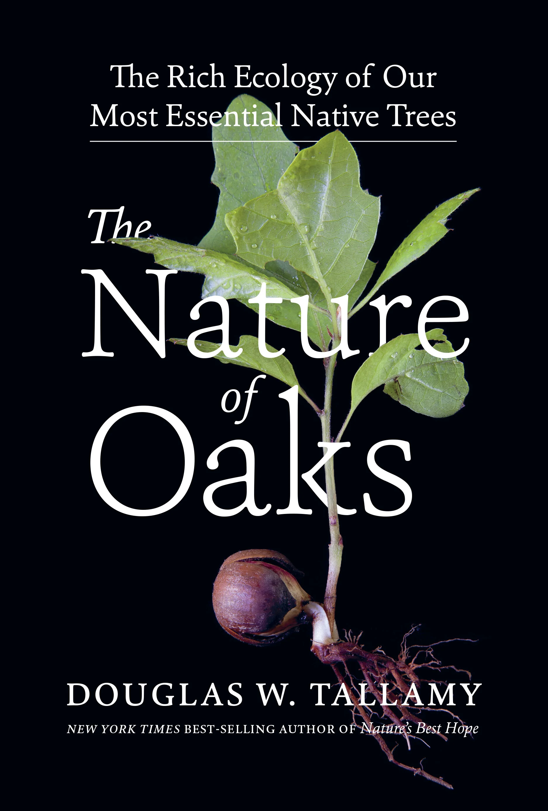 Ep. 153 : The Nature of Oaks with Doug Tallamy — to know the land